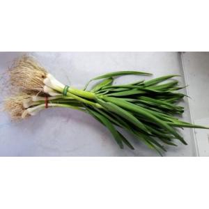 蒜苗 （250 克/捆）