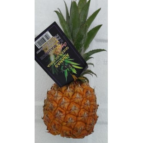 小菠萝-重约340克/个