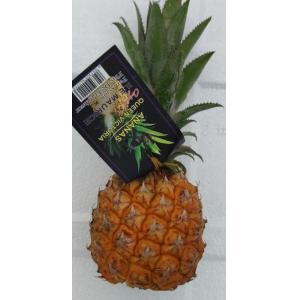 小菠萝-重约340克/个