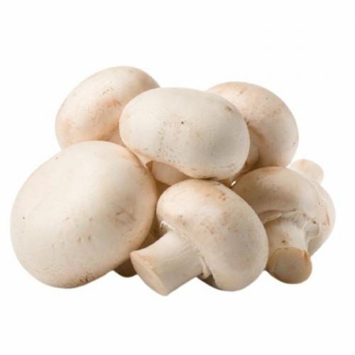 蘑菇-250克