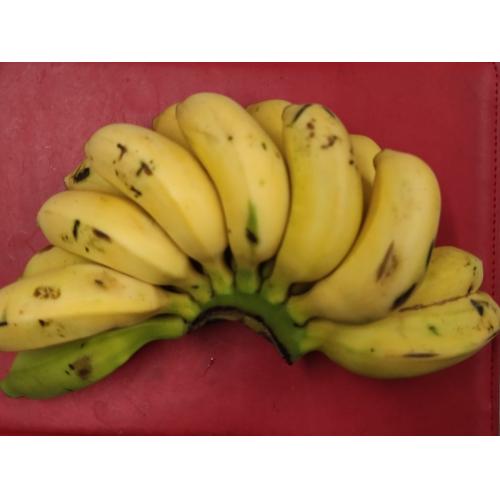 小香蕉-6个，约280克