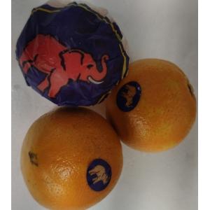 3粒大象牌橙子