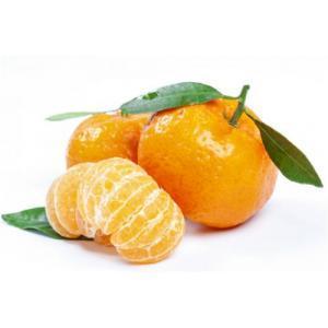 带叶橘子-1箱（9公斤）