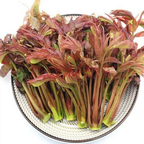 香椿芽-150克
