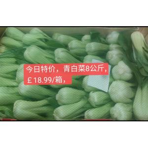 青白菜-8公斤/箱(限购一箱）