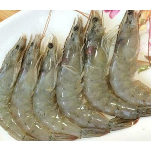 新鲜基围虾-30/40-500克