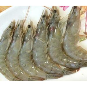 新鲜基围虾-30/40-500克