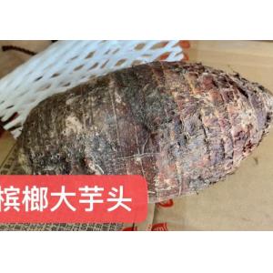 槟榔芋头-约 700 克-800克