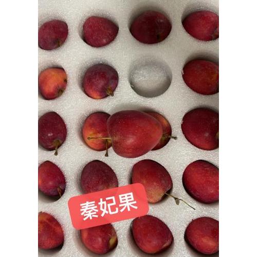 秦菲果 -1 盒