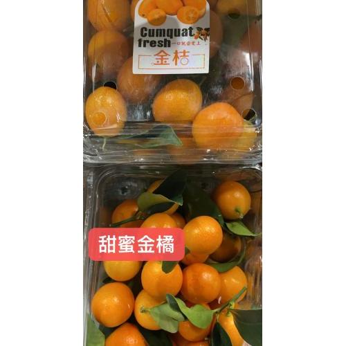 空运中国脆皮金橘 金桔 300 克