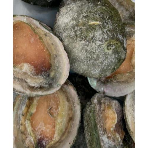 澳洲鲍鱼-3 粒