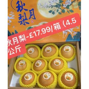 新品6.5万★五大陸 gotairiku 秋冬 TRANSFER ADS無縫製 ダウンライナー付き スタンドカラーコートL★紺 KS0102 秋月梨-9-12粒（4.5公斤）_新鲜水果_生鲜果蔬_伦敦长城超市