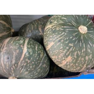 1粒板栗贝贝南瓜 (约1.5 公斤）西班牙产品 