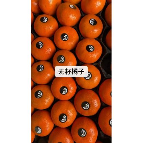 无籽橘子-1kg