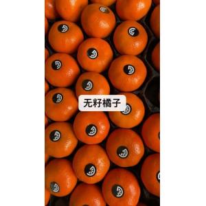 无籽橘子-1kg