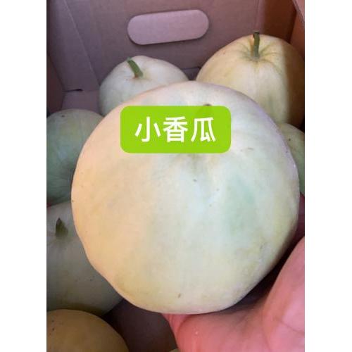 小香瓜 500 克（按实际重量计算）