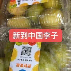 空运中国李子 550 克
