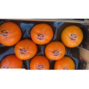 新鲜柿子-8 粒装