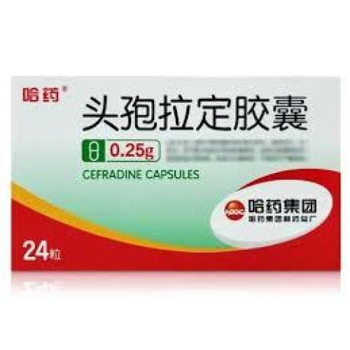 哈药 头孢拉定胶囊 24x0.25g