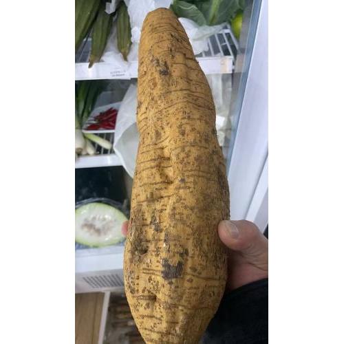 新鲜粉葛- 500-600克