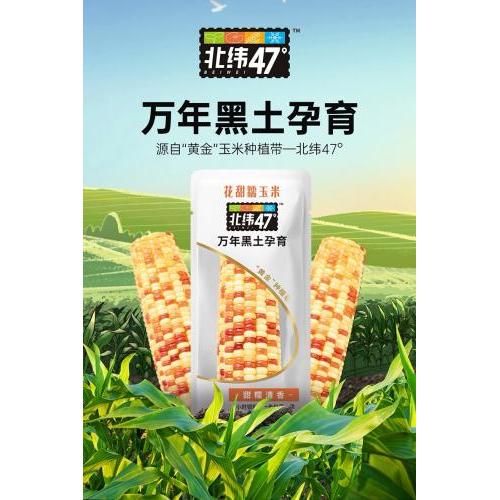 北纬47度花甜糯玉米 200克